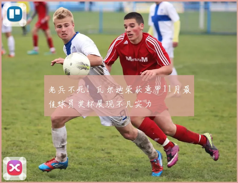 老兵不死！瓦尔迪荣获意甲11月最佳球员奖杯展现不凡实力