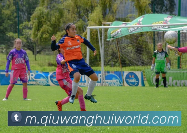 球王会APP 封面图